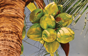 Cocos verdes II - Arte Caribe